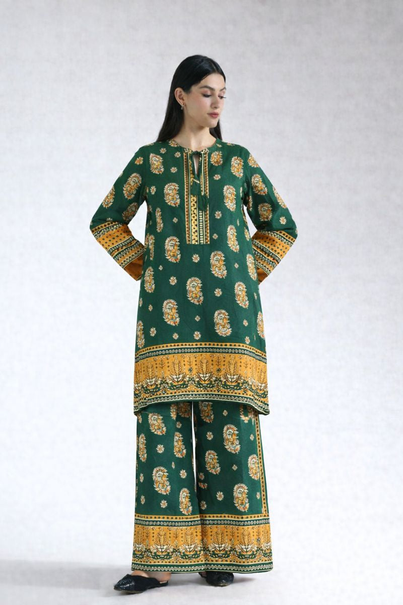 Winter 2 Pcs Khaddar All Over N-40