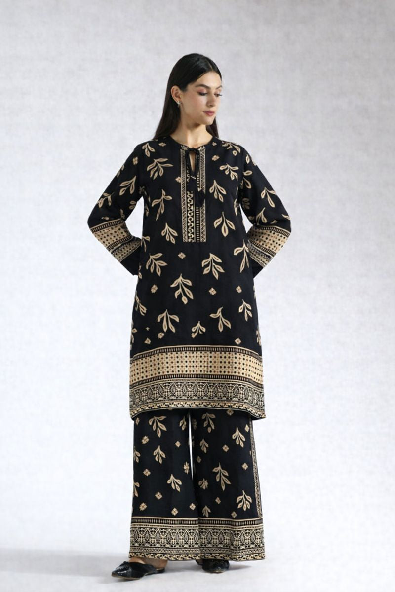 Winter 2 Pcs Khaddar All Over N-41