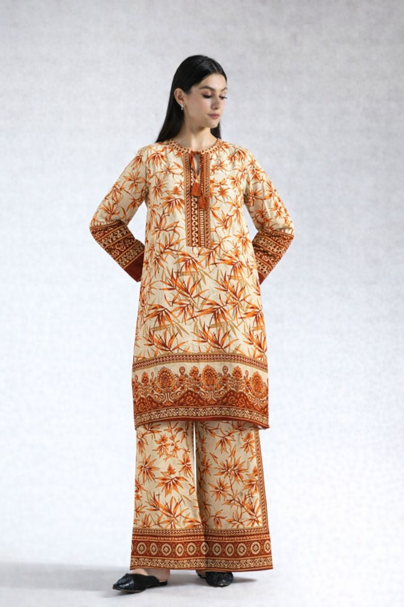 Winter 2 Pcs Khaddar All Over N-42