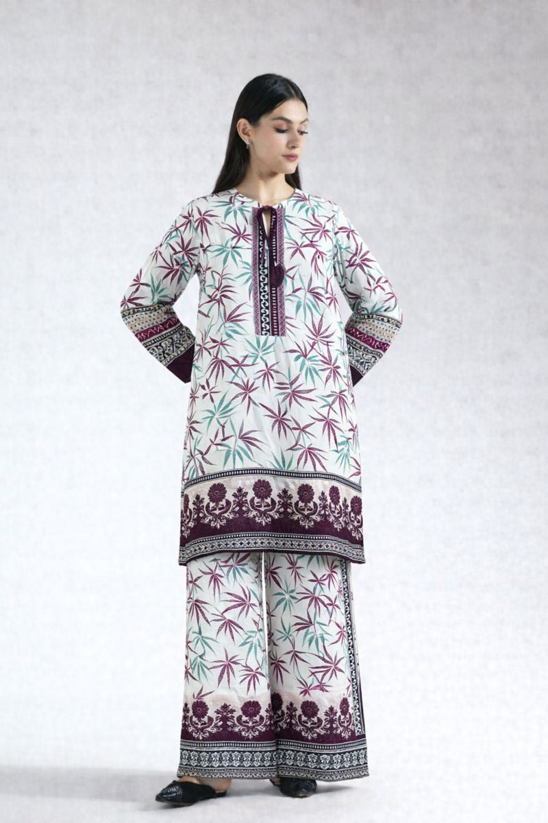 Winter 2 Pcs Khaddar All Over N-3