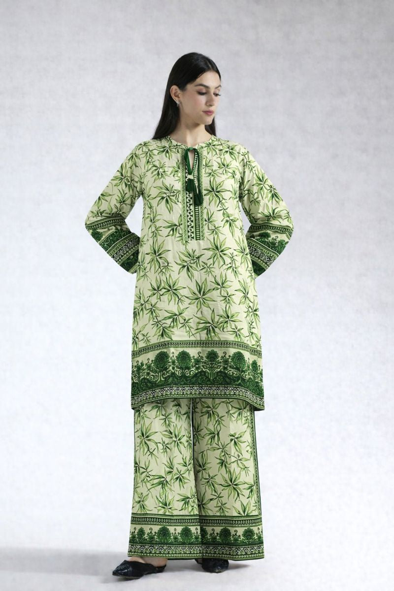 Winter 2 Pcs Khaddar All Over N-1