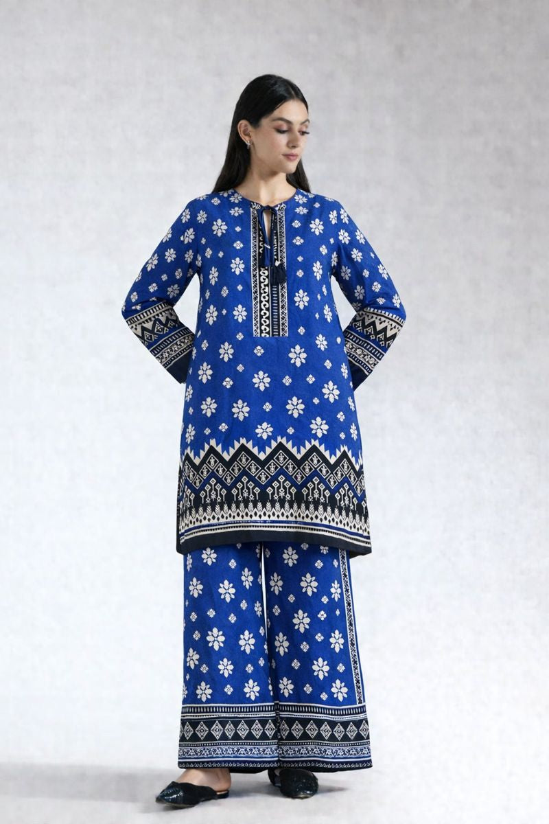 Winter 2 Pcs Khaddar All Over N-2